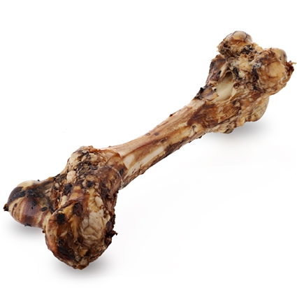 Monster Smoked Beef Femur Bones for Dogs, 1 ct | RawPawsPetFood.com